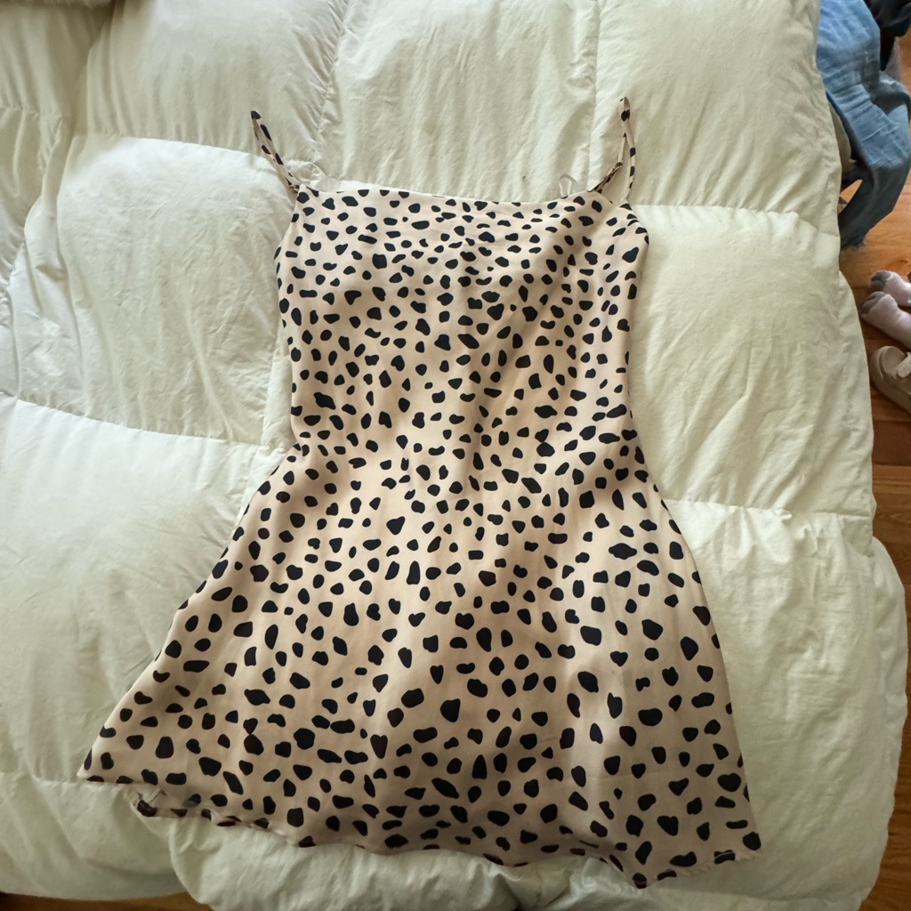 Brand New Size Small Lovers And Friends Mini Silk Dress